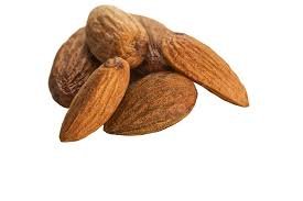 Organic Almond (Premium Badam)