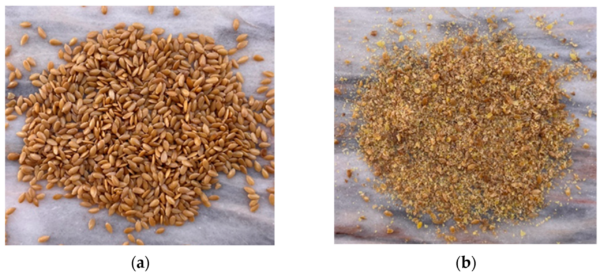 Flax Seeds (Tisi Seed)